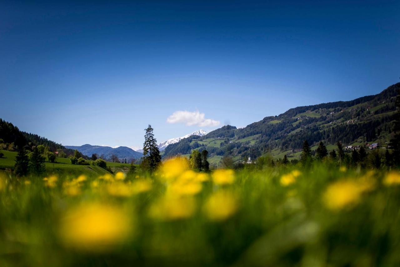 Gartenloft An Der Mur Murau Eksteriør bilde